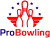 reference-probowlingcz-logo